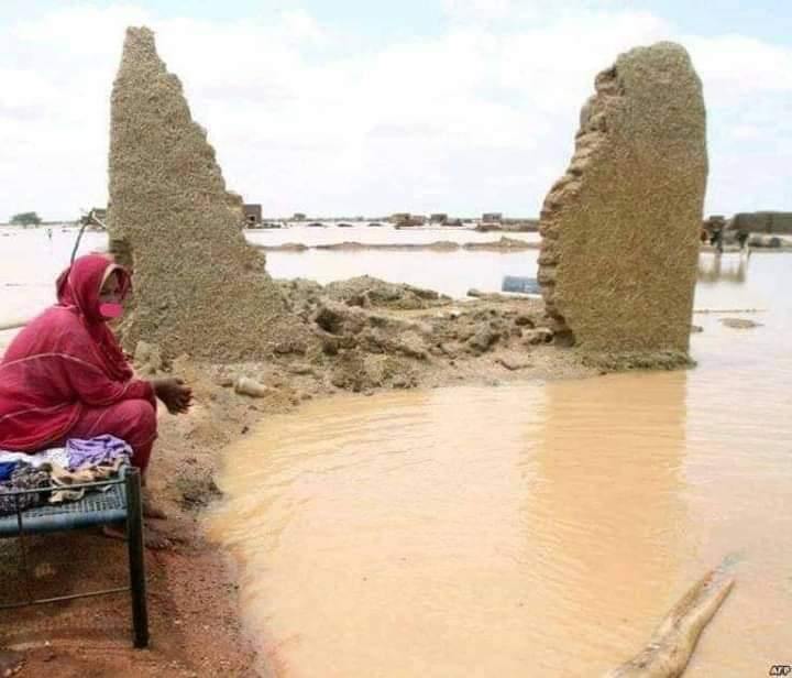 8993 منزلا انهارت انهيارا كليا و 14953 جزئيا فضلا عن تضرر 24 مرفقا عاما و39 من المخازن والمتاجر