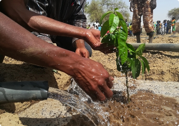 مشروع المياه